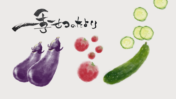 麹調味料と夏野菜