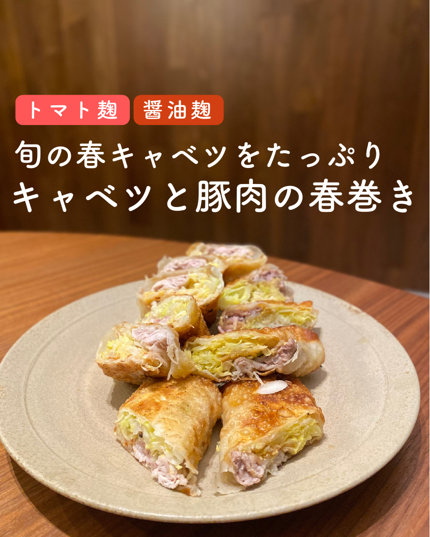 キャベツと豚肉の春巻き