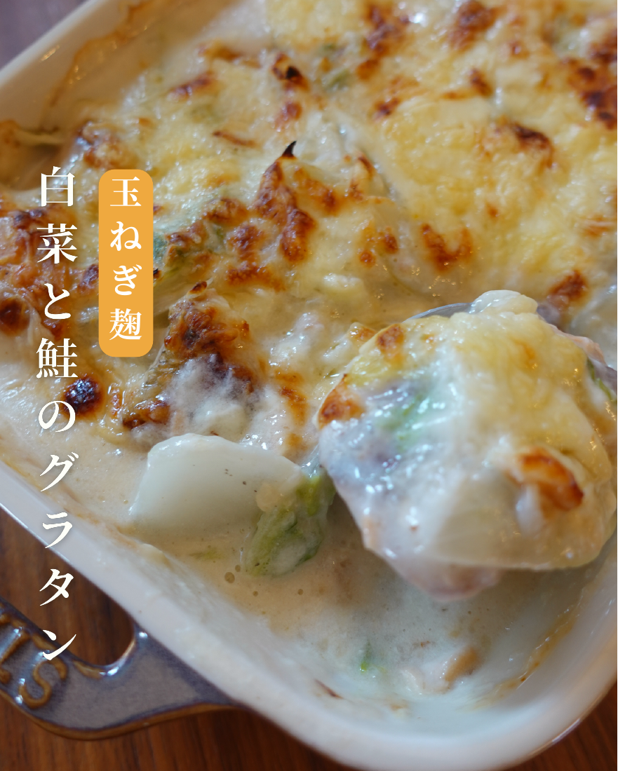 白菜と鮭のグラタン